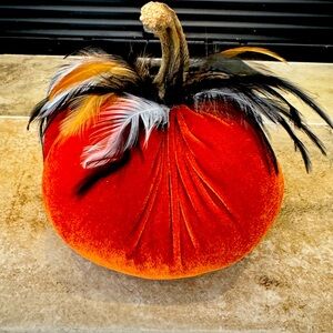 Orange Velvet Feather Pumpkin